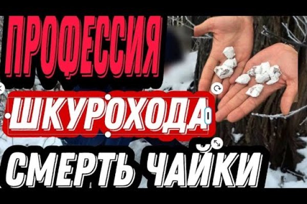 Kraken найдется все