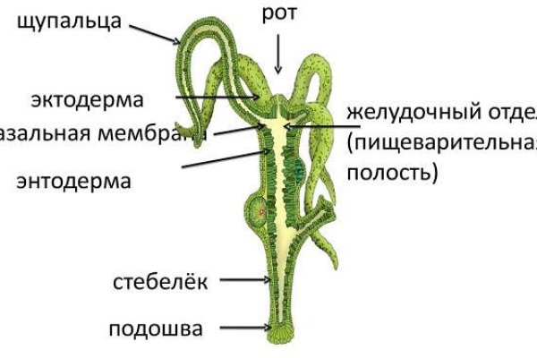 Кракен оригинальная ссылка для тор